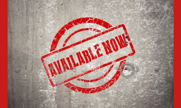 REI Wealth Monthly – Issue #15 is Now Available!