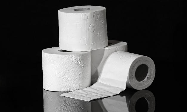 The Great TP Crisis of 2020