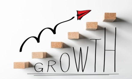 How Could You Pursue Business Growth This Year?