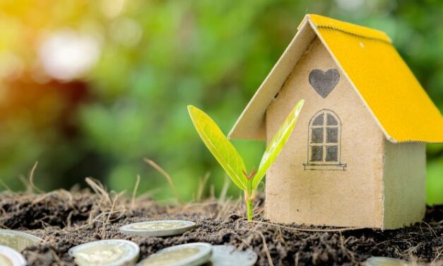 Learn About Land Banking with Marcella Silva