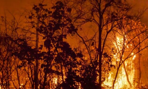 The Next Phase of Resilience: Preparing Homes for Fire and Seismic Risks