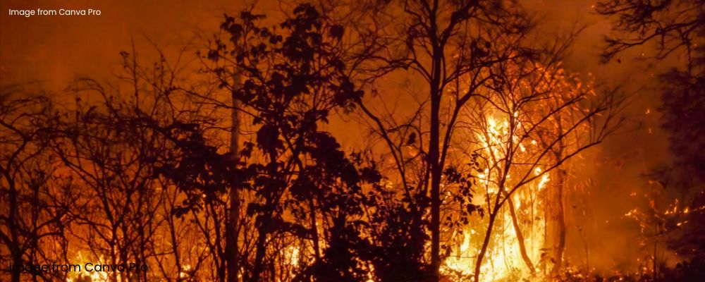 The Next Phase of Resilience: Preparing Homes for Fire and Seismic Risks