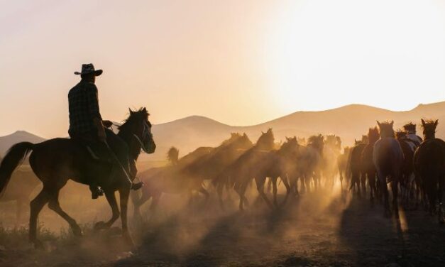 A Premier Colorado Equestrian Ranch – Ghost Rider Ranch – Now Being Listed for Sale