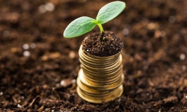 The One Investment That Can’t Be Hacked, Deleted, or Bankrupted 🔒